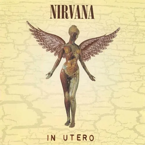 In Utero (Vinyl)  720642453612