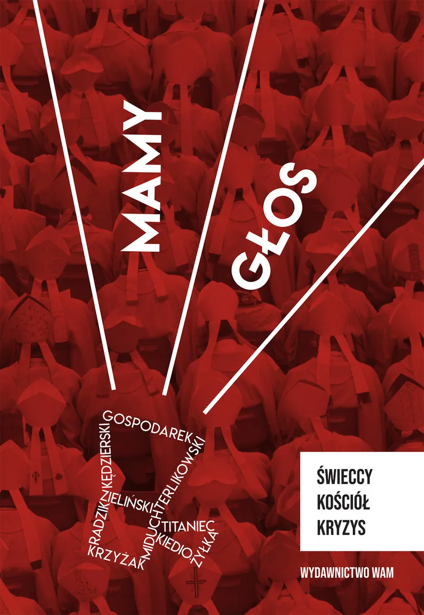 Mamy głos. Świeccy, Kościół, kryzys 9788327726162