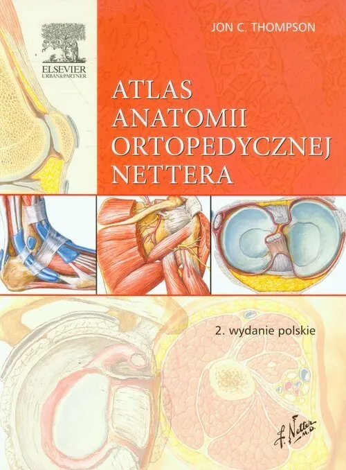 Atlas anatomii ortopedycznej Nettera  9788376098166