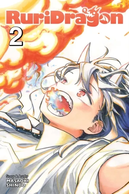 RuriDragon, Vol. 2  9781974756063