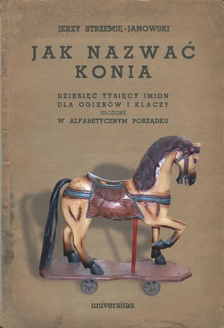 Jak nazwać konia. Dziesięć tysięcy imion dla ogierów i klaczy ułożone w alfabetycznym porządku 9788324229956