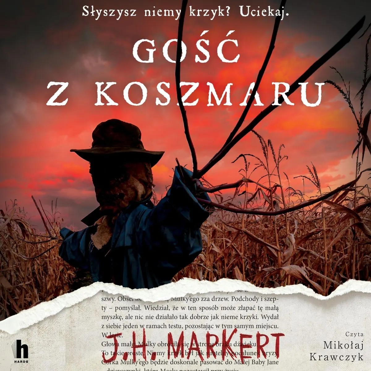 Gość z koszmaru (plik audio) 9788383433943