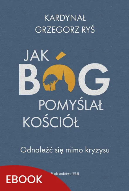 Jak Bóg pomyślał Kościół. Odnaleźć się mimo kryzysu 9788327735065