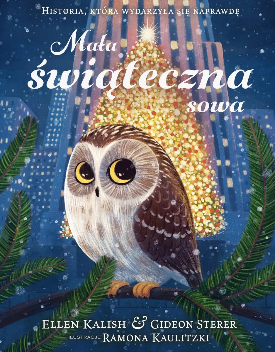 Mała świąteczna sowa. Historia, która wydarzyła się naprawdę  9788384275887