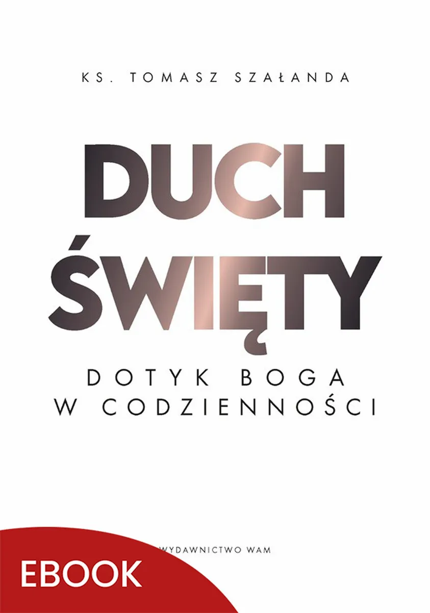Duch Święty Dotyk Boga w codzienności. Dotyk Boga w codzienności 9788327735188