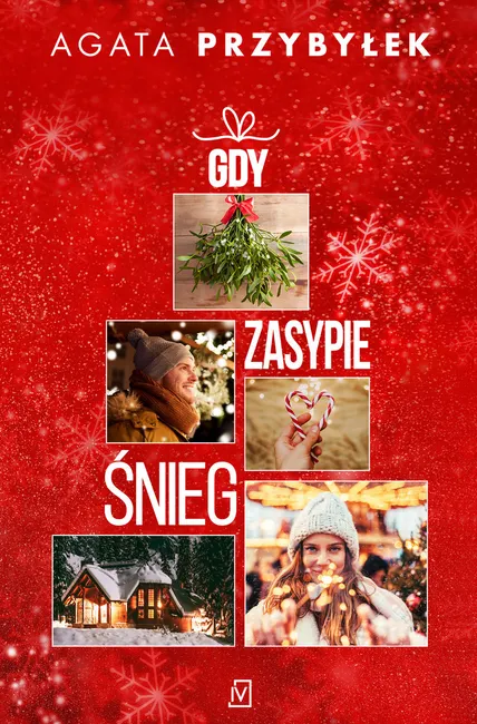 Gdy zasypie śnieg 9788366981867