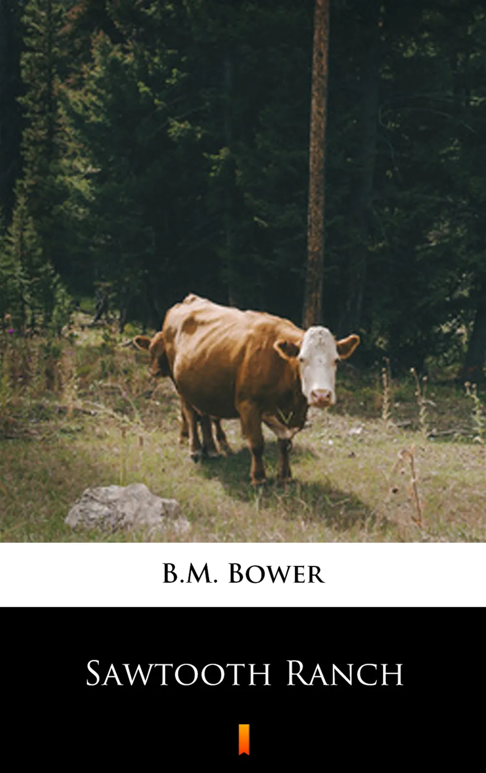 Sawtooth Ranch 9788381366250
