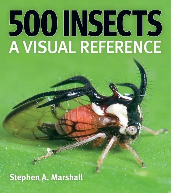 500 Insects: A Visual Reference  9780228104940