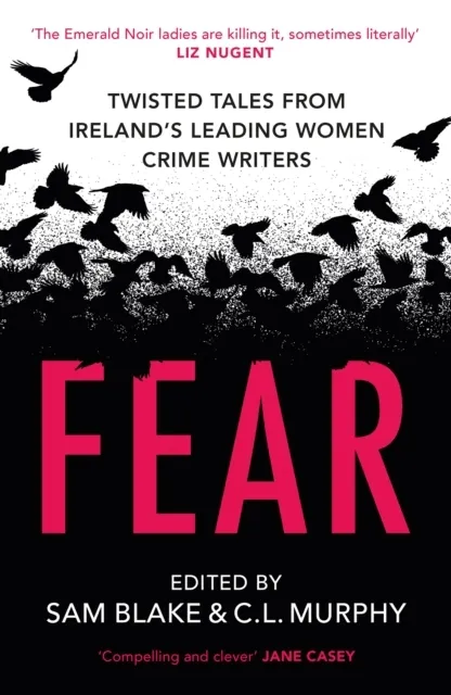 Fear 9781399762571