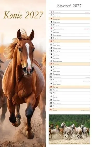 Kalendarz 2027 ścienny pasek Konie  5906667514599