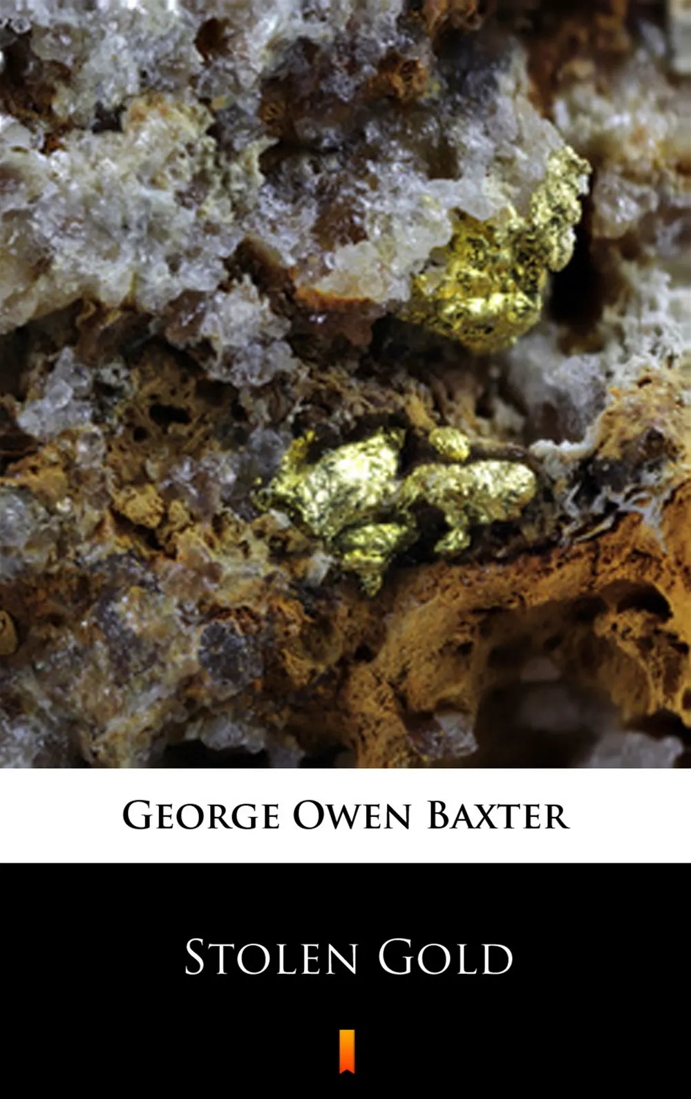 Stolen Gold (e-book) 9788381363532