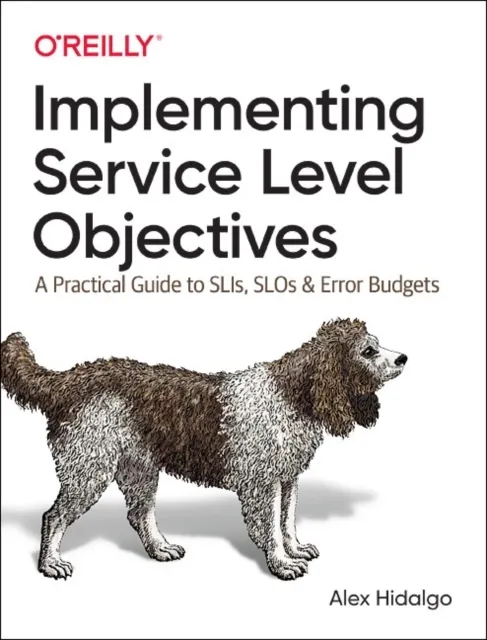 Implementing Service Level Objectives  9781492076810