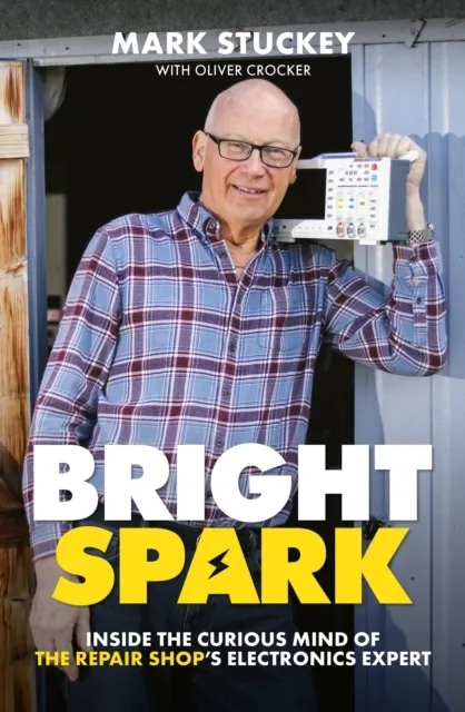 Bright Spark  9781918517088