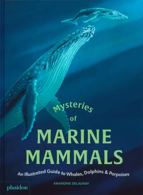 Mysteries of Marine Mammals: An Illustrated Guide to Whales, Dolphins, and  9781837290208