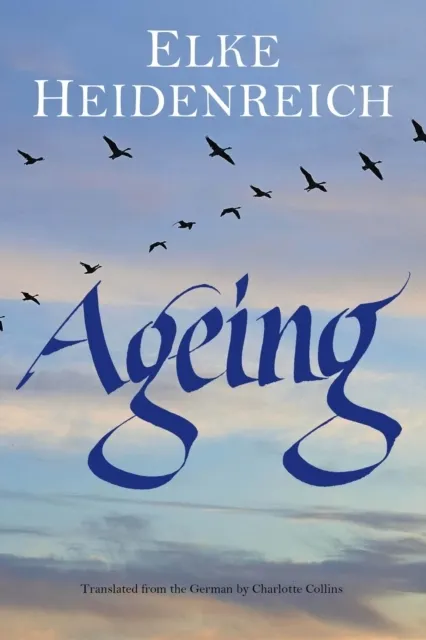 Ageing  9781919503370