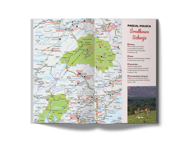 Szkocja (Pascal Lajt) 9788383173702