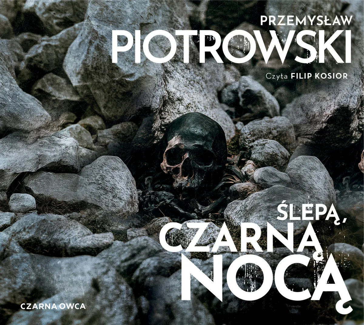 Ślepą, czarną nocą 9788384571637