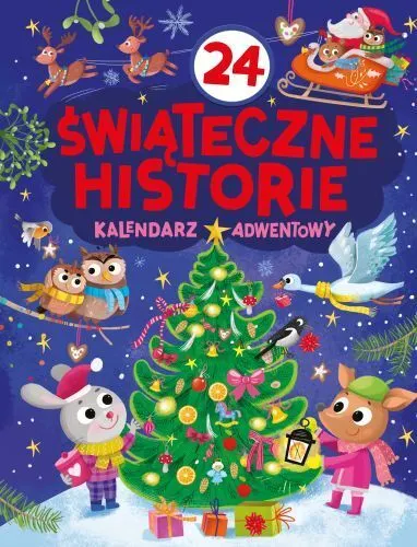 24 świąteczne historie. Kalendarz adwentowy  9788368859911