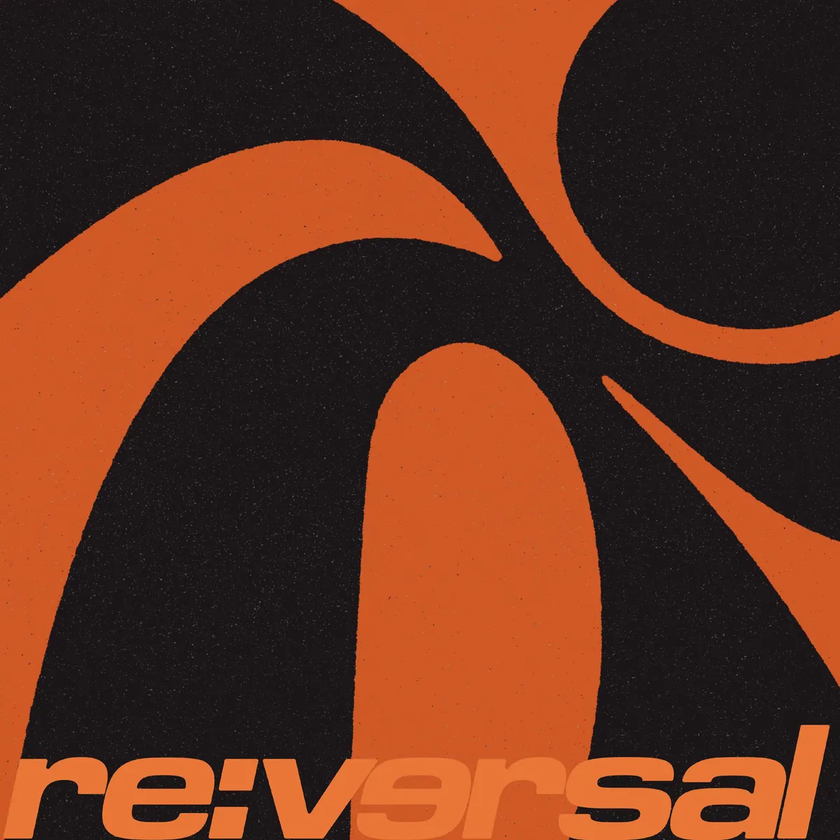 Reversal 005 (Vinyl)  0881061261438