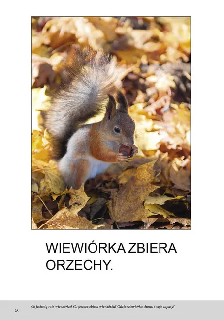 Jesień. Bardzo proste czytanki 9788383096803