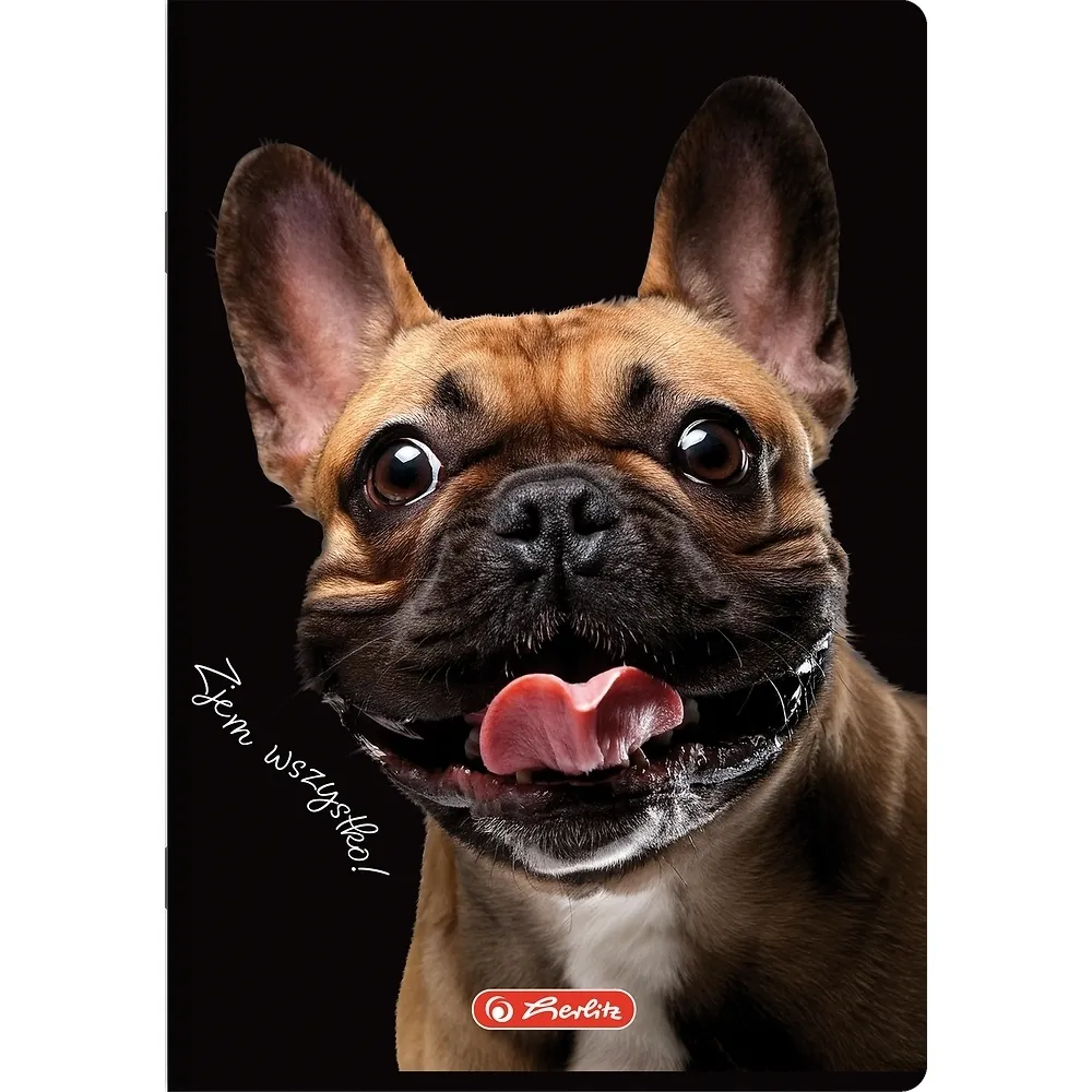 Zeszyt Crazy Animal A4/60k kratka z marginesem, 1 szt 5904017442493