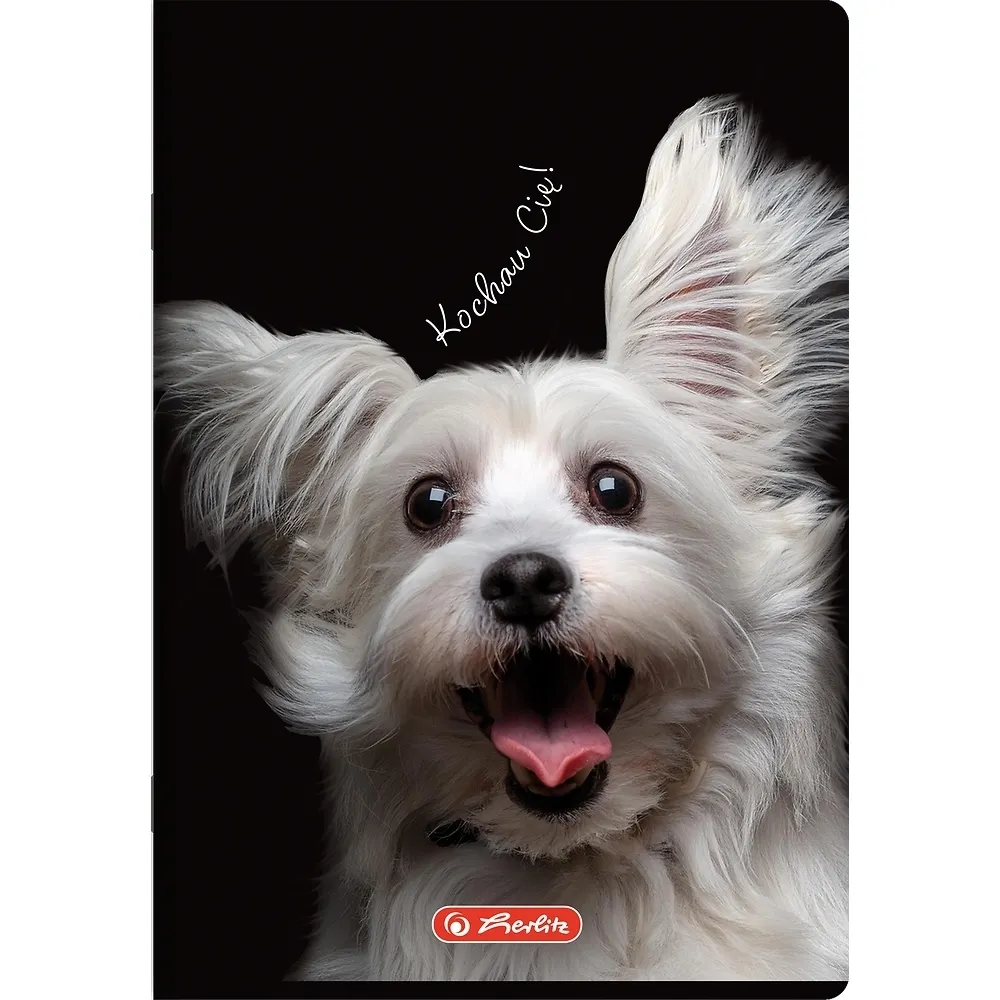 Zeszyt Crazy Animal A4/60k kratka z marginesem, 1 szt 5904017442493
