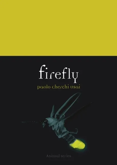 Firefly 9781836392736