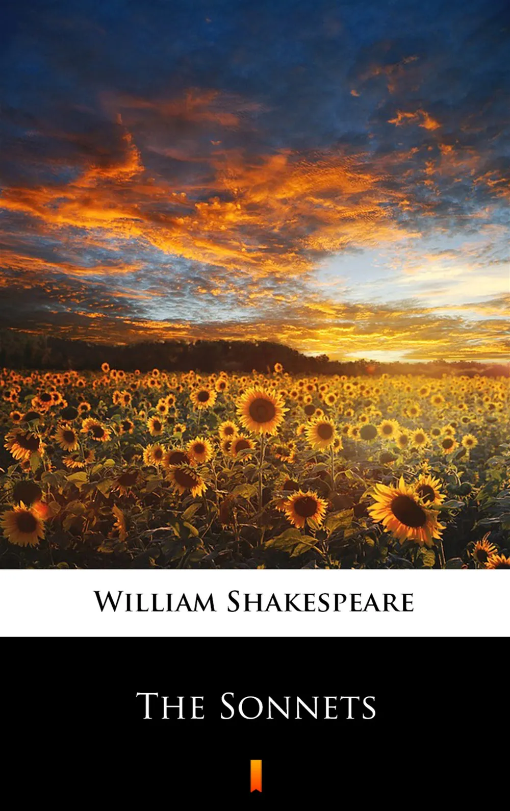 The Sonnets 9788382000450
