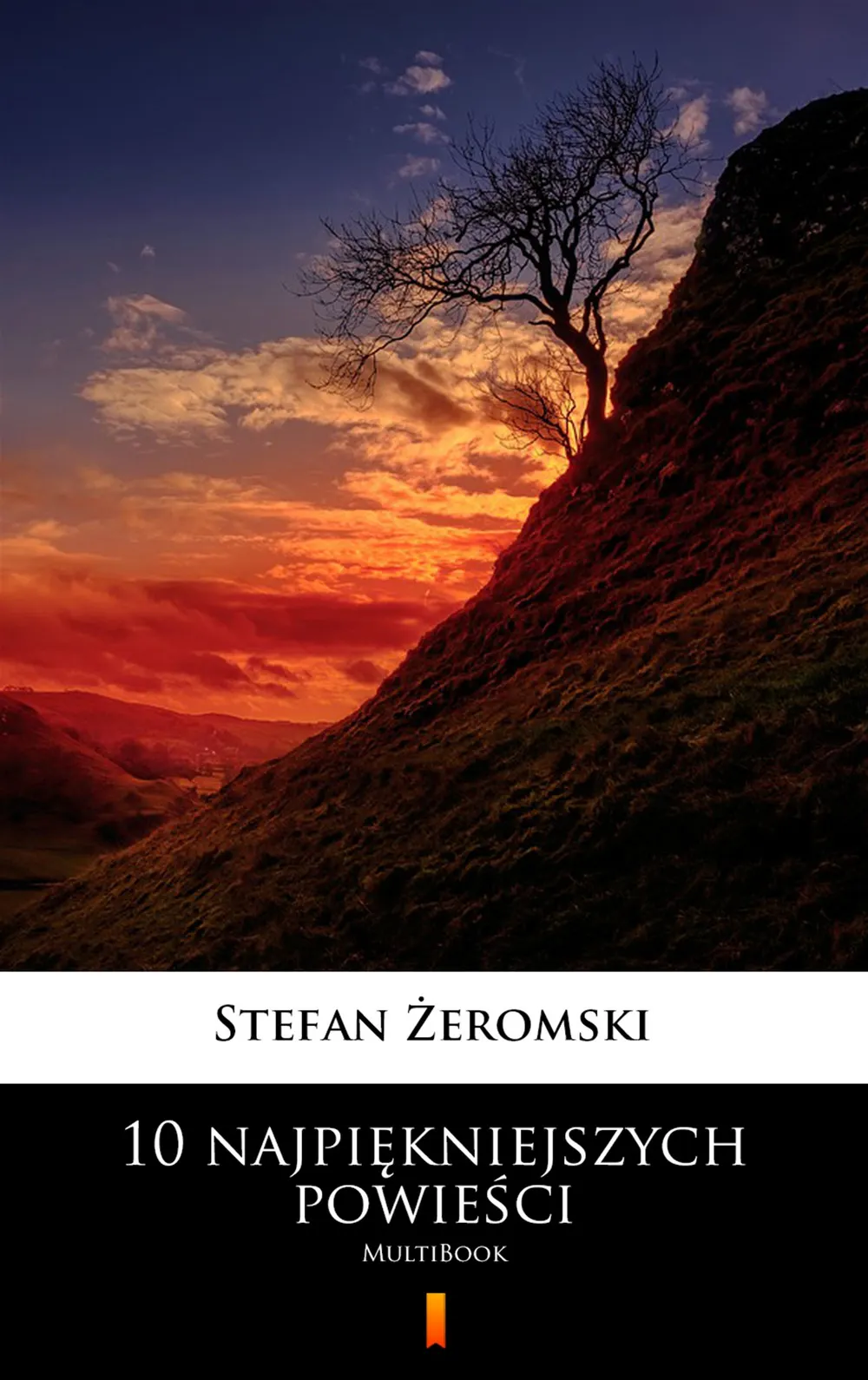 10 najpiękniejszych powieści. MultiBook 9788382174113