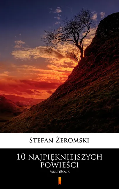 10 najpiękniejszych powieści. MultiBook 9788382174113