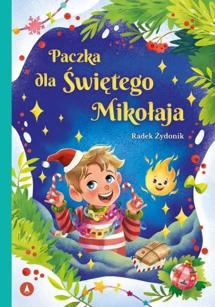 Paczka dla Świętego Mikołaja  9788382079005