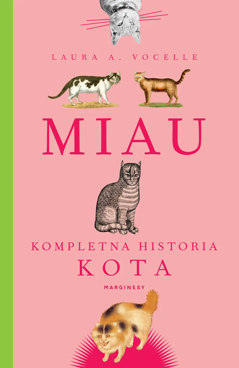 eko. Miau. Kompletna historia kota 9788366863927