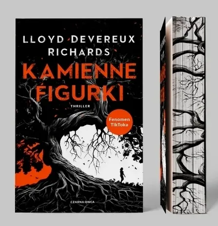 Kamienne figurki 9788382527605