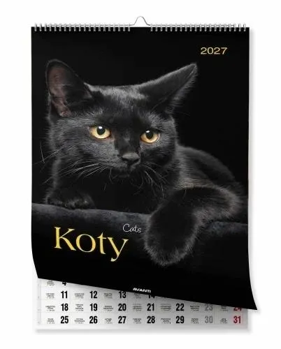 Kalendarz 2027 ścienny A3 Koty  5906448200857