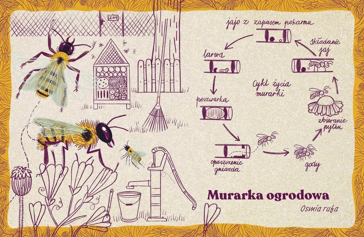 Zwierzęta miast, czyli 22 portrety naszych nieudomowionych sąsiadów 9788310136985