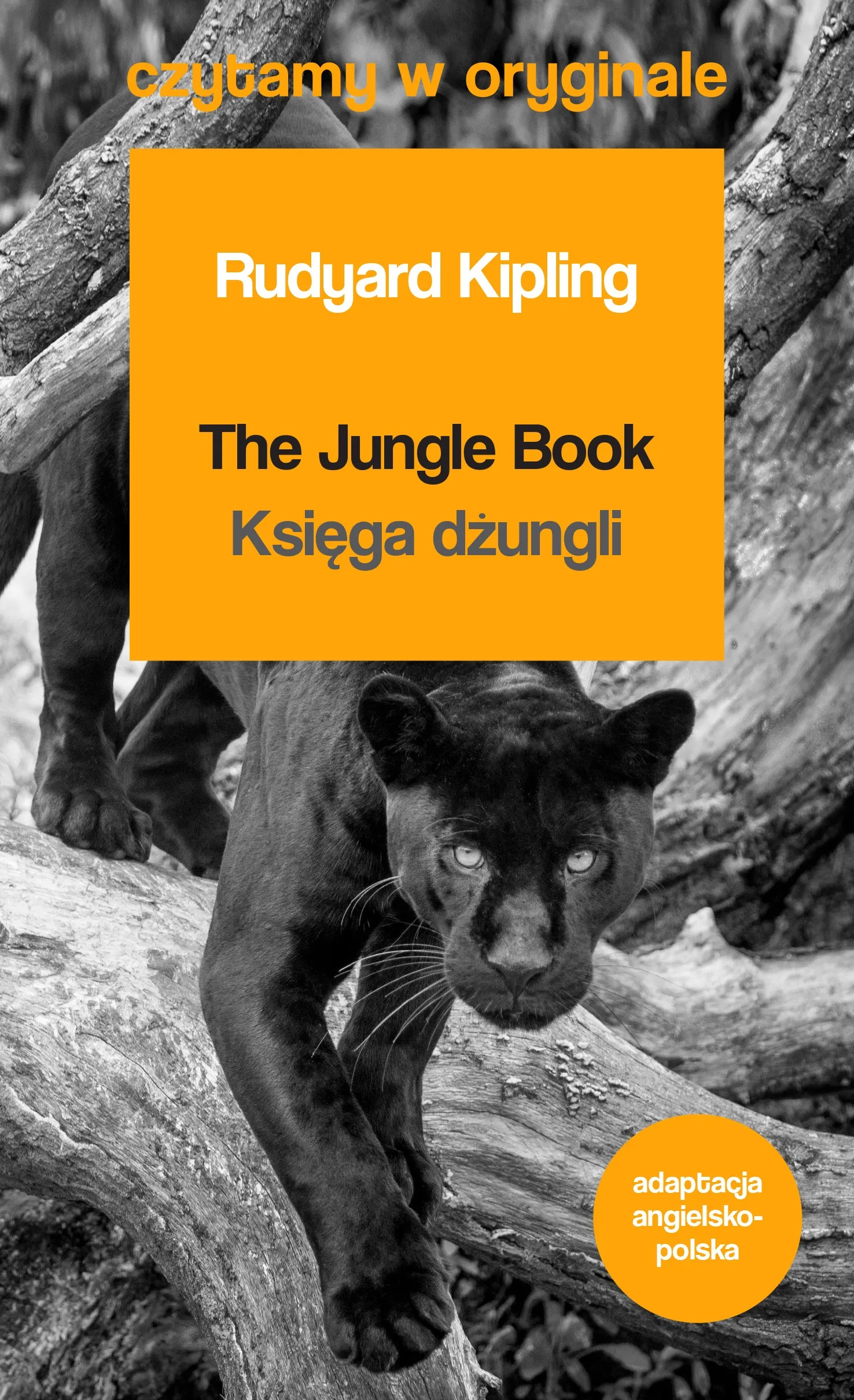 Księga dżungli / The Jungle Book. Czytamy w oryginale wielkie powieści 9788363035945