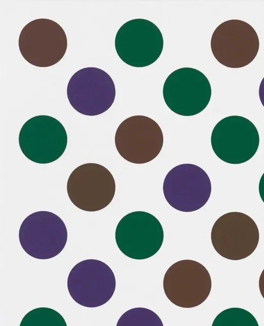 Bridget Riley: Past into Present  9781644230664