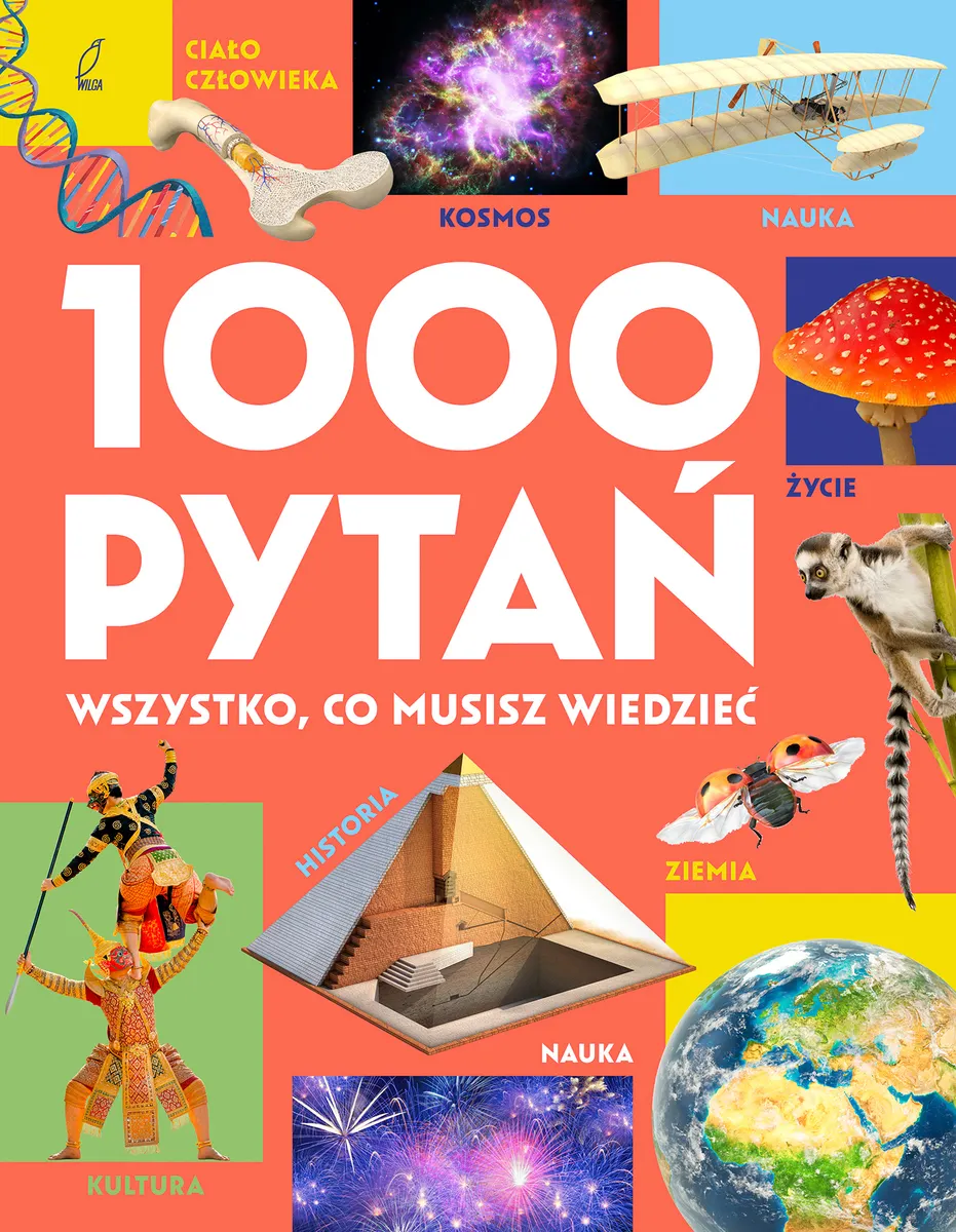 1000 pytań. Wszystko, co musisz wiedzieć  9788384491928