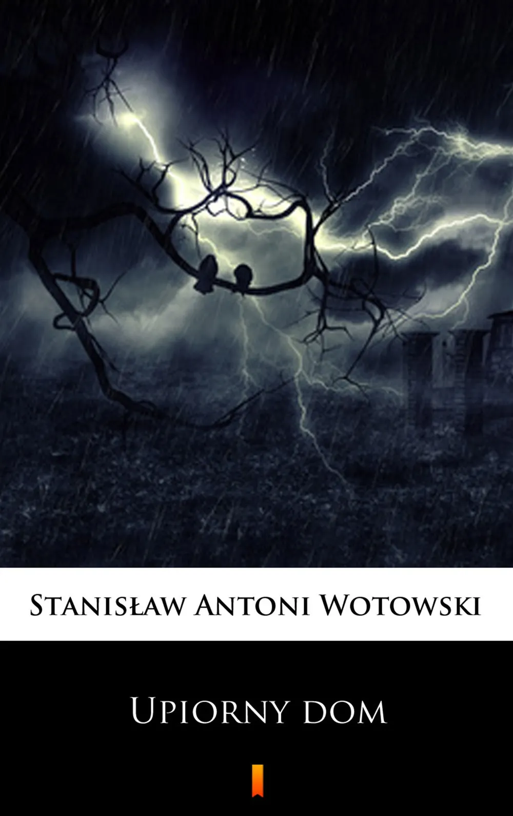 Upiorny dom. Powieść sensacyjna (e-book) 9788379033546