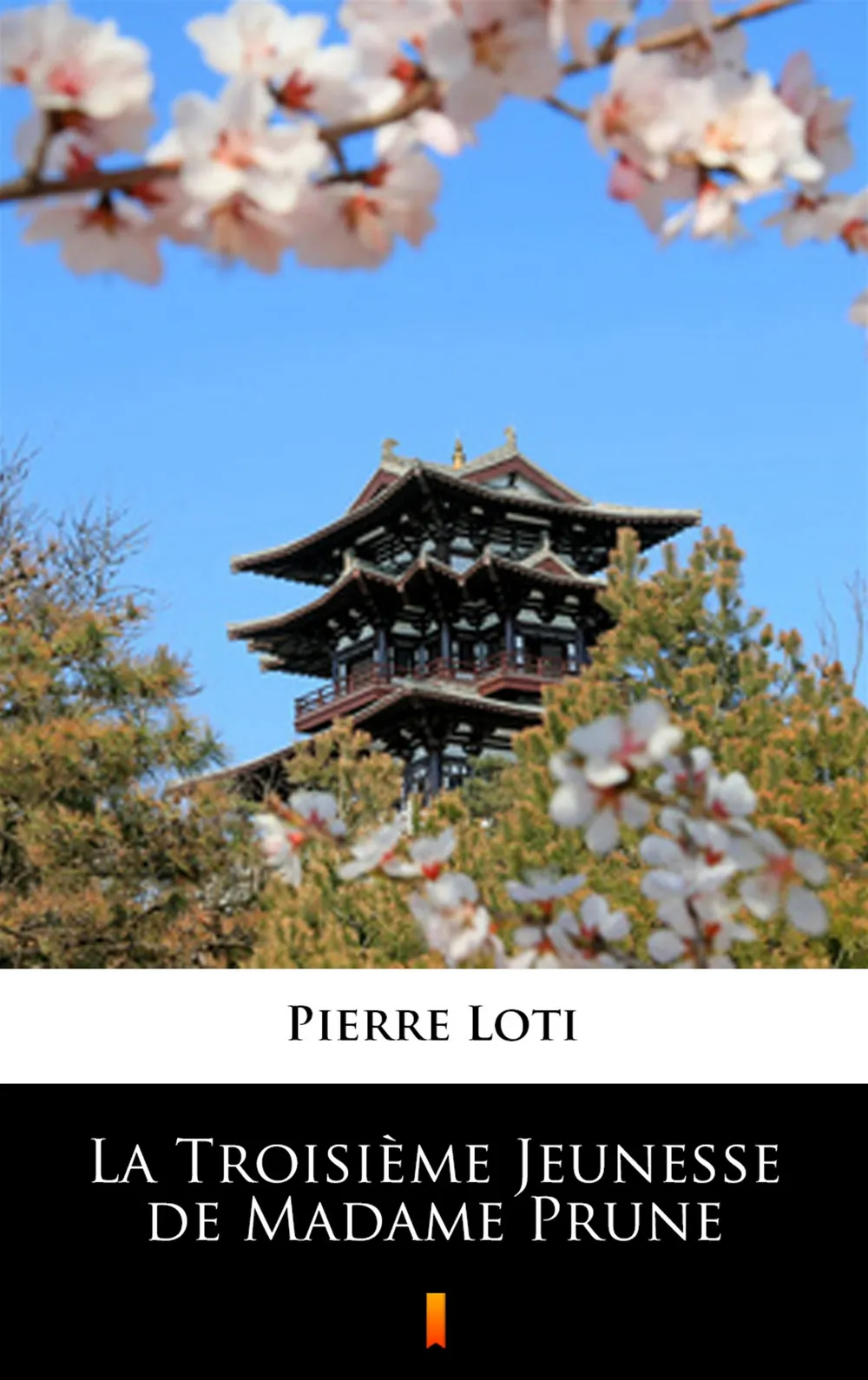 La Troisieme Jeunesse de Madame Prune (e-book) 9788381763196