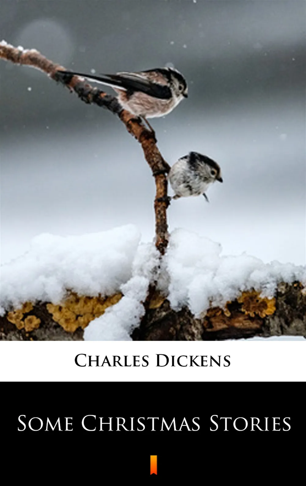 Some Christmas Stories 9788381765954