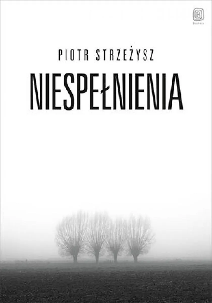 Niespełnienia (e-book) 9788383229881