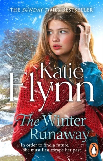 The Winter Runaway  9781529902846
