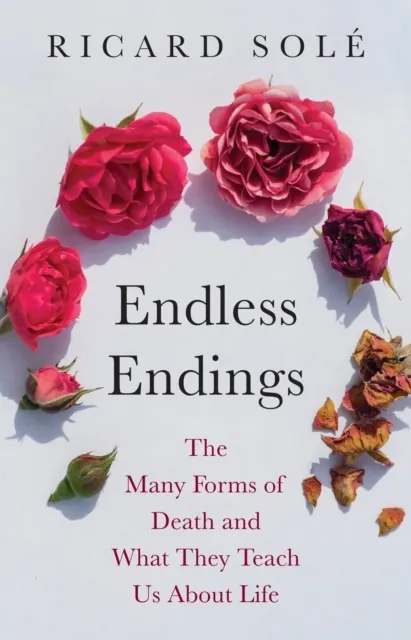 Endless Endings  9780691276274