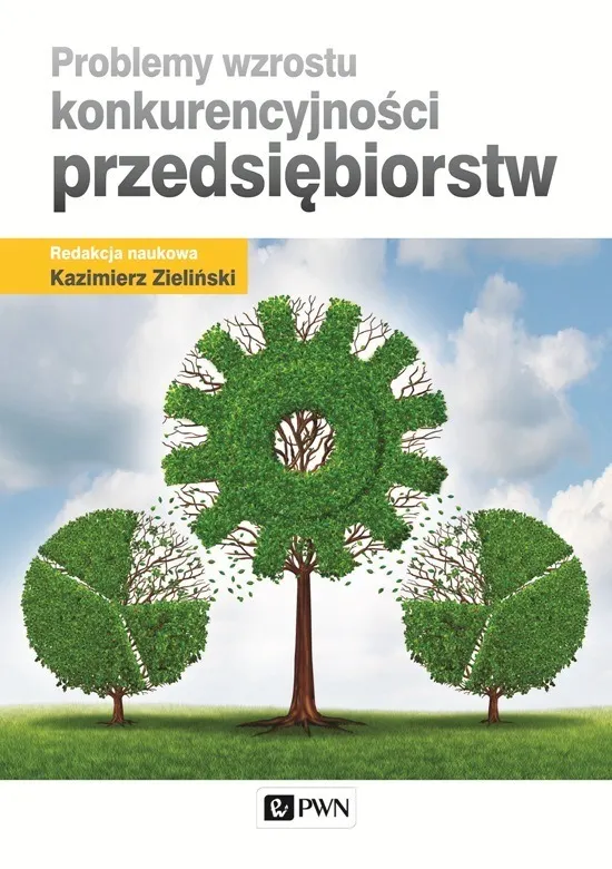 Problemy wzrostu konkurencyjności przedsiębiorstw  9788301181963