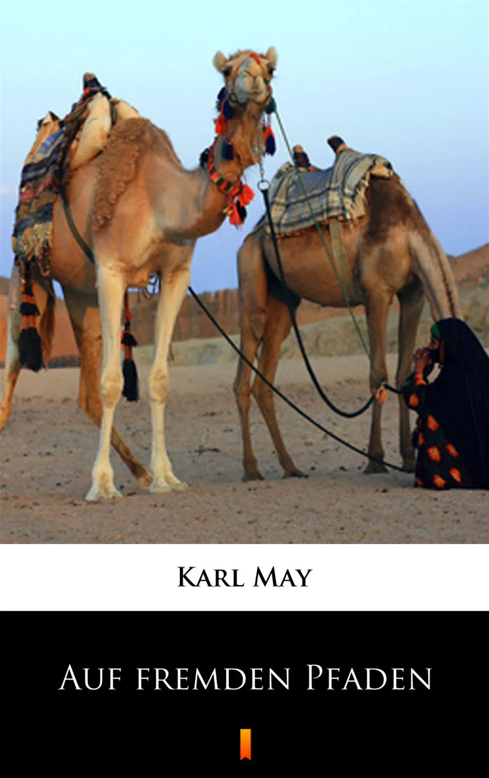 Auf fremden Pfaden (e-book) 9788381364898