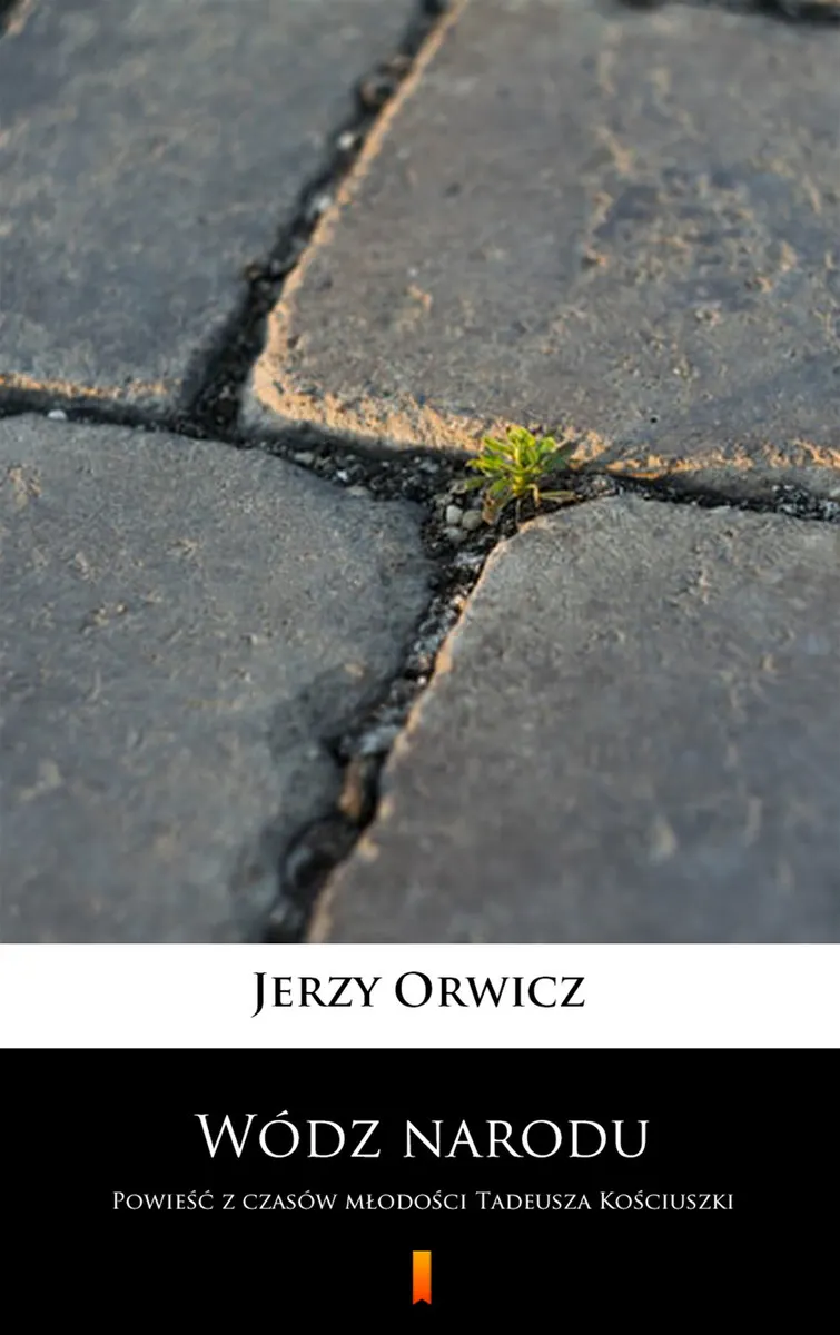 Wódz narodu. Powieść z czasów młodości Tadeusza Kościuszki (e-book) 9788382920550