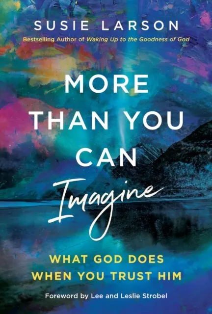 More Than You Can Imagine  9780785294689