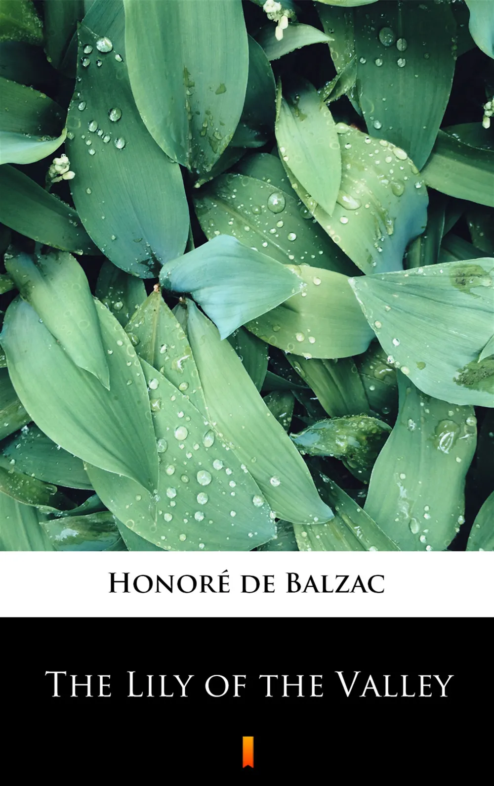 The Lily of the Valley 9788381768283