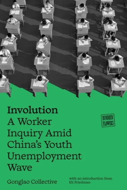 Involution: A Worker Inquiry Amid China's Youth Unemployment Wave  9781836742951